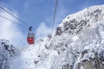 ◎WEB予約でリボンポイント2ポイント◎刈谷・知立発】*日帰り昼食付*~WEB予約限定~『信楽高原鉄道&冬景色の御在所ロープウェイへGO!』1